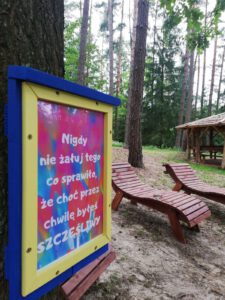Leśne spa leżanki i hamaki przy domkach na wynajem
