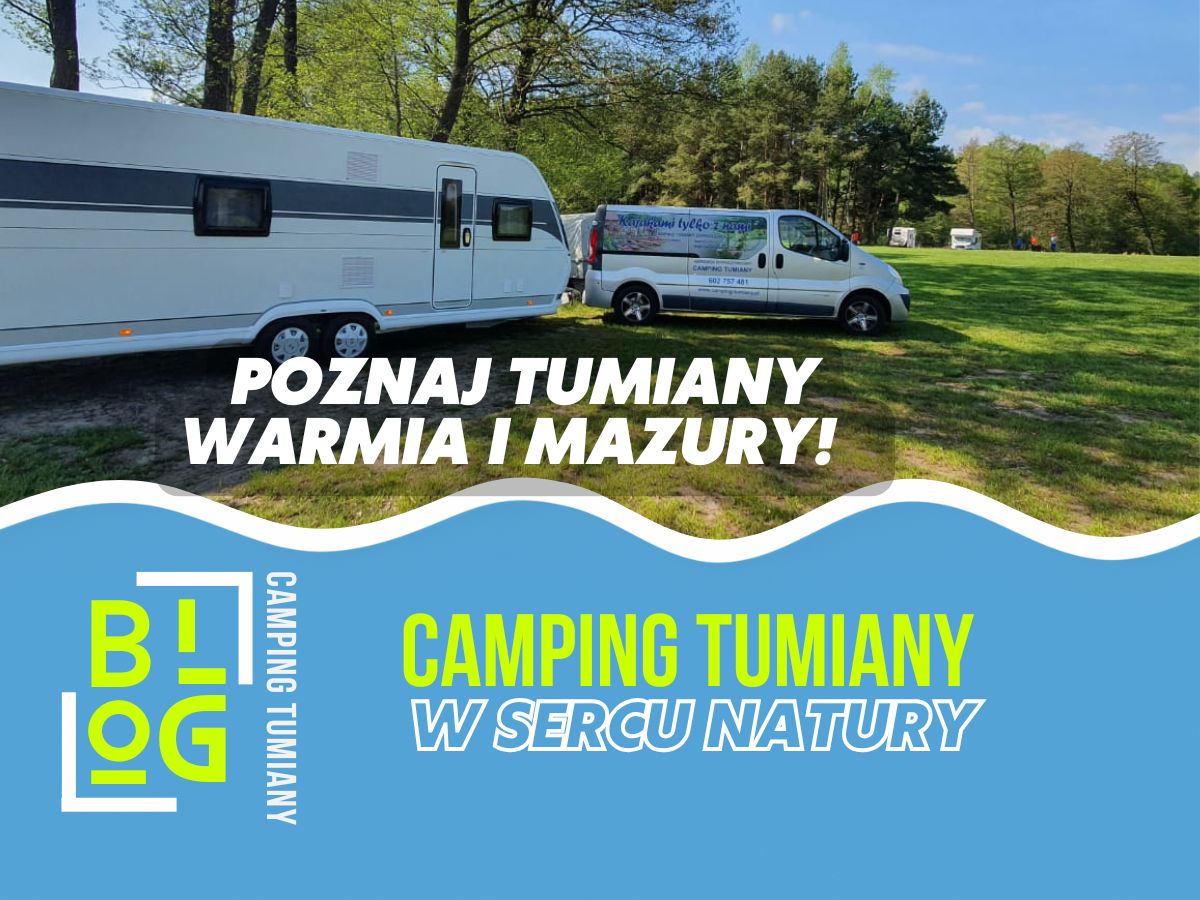 Camping Mazury ze zwierzętami – obrazek przedstawia przyczepę kempingową i samochód na polanie wśród drzew.