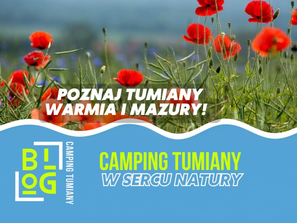 Czerwcówka nad jeziorem na Warmii i Mazurach: rezerwacja noclegu 4–8 tyg. wcześniej, plan 3–4 dni, kajaki 8–12 km i trasy 20–40 km.