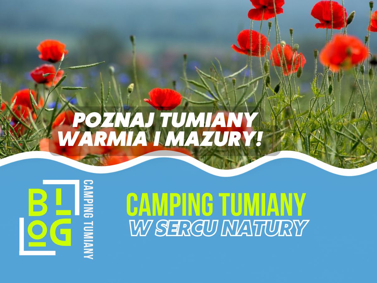 Czerwcówka nad jeziorem na Warmii i Mazurach: rezerwacja noclegu 4–8 tyg. wcześniej, plan 3–4 dni, kajaki 8–12 km i trasy 20–40 km.